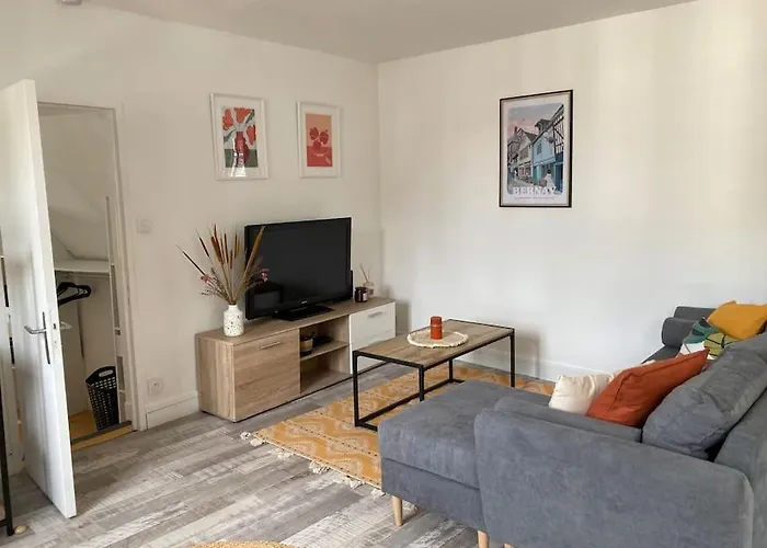 Cosy Appartement Hyper Centre